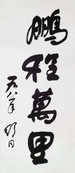 鹏程万里(2)