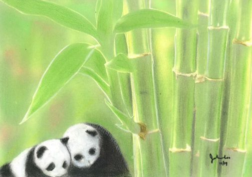 Panda(7)