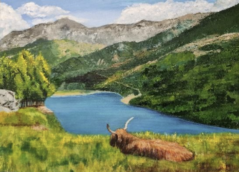 Highland Cow