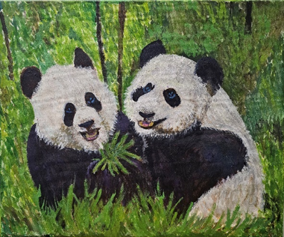 The Two China Pandas Jia Jia and Kai Kai