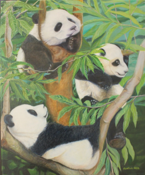 Lepak Pandas
