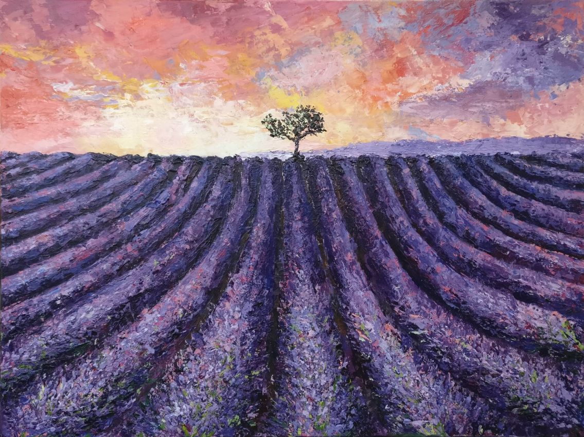 Lone tree on Lavender field